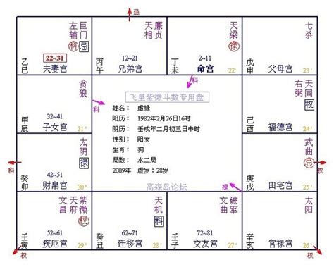 流年雙化忌|紫微斗数的命局、大限、小限、流年讲解 – 紫微麥 